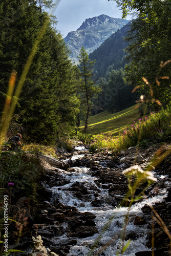 Schilderij op canvas Views in South Tyrol.