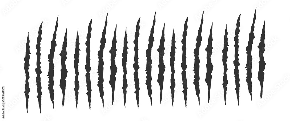 Foto Abstract black claw scratch marks isolated on white background
