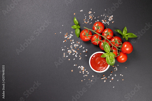 Fresh tomato sauce ingredients on dark background