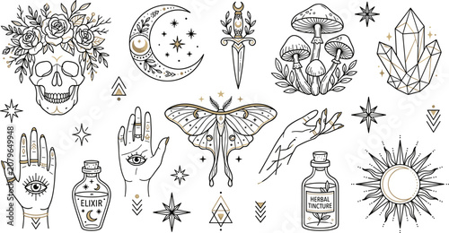 Halloween vector art a spooky collection of witchy illustrations and symbols