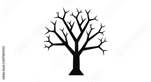 Bare tree silhouette on white background, nature and minimalism concept