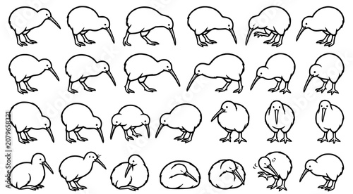 Bild auf Leinwand Collection of kiwi bird line art illustrations in multiple poses and behaviors i