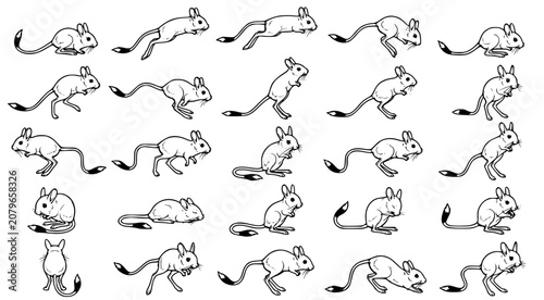 Bild auf Leinwand Detailed line art set of jerboas in various dynamic poses and behaviors isolated