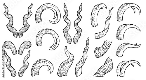 Tableau sur toile Collection of various bovid horn types and shapes hand drawn in black and white