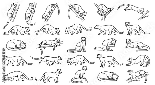 Canvas Print Collection of hand drawn line art illustrations featuring various poses of wild