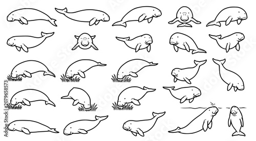 Tableau sur toile Set of cute dugong line art illustrations showing various swimming and feeding p