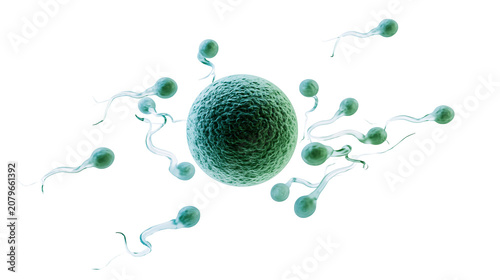Tableau sur toile Green textured ovum being approached by multiple sperm cells, isolated on transp