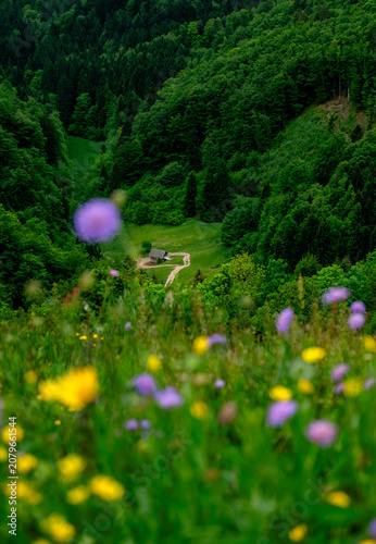 Slovenia view with house