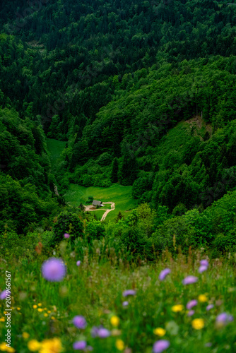 Slovenia view with house