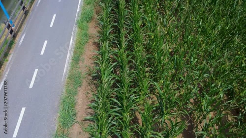 PISTA CICLABILE	

