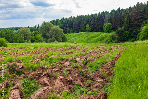 Moldboard plowing of an overgrown grassy field, turning rough soil for agricultural preparation near a green forest landscape on a summer day