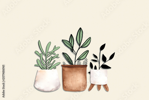 Indoor Houseplants Illustration in Decorative Plant Pots on neutral background 
