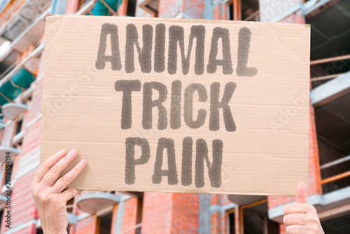 Photography "Animal trick pain" Performances cause creatures to suffer