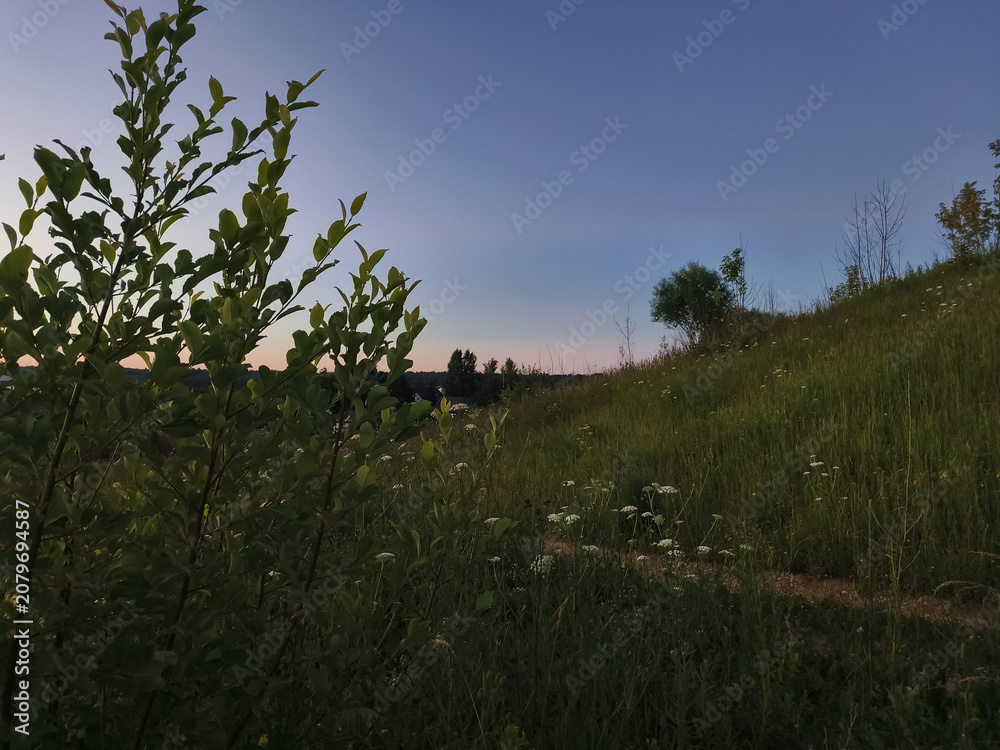 Fototapeta premium Green grass and blue sky in the wild in mountains road with meadow in evening sunset 