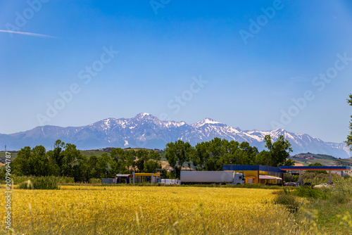 Foto Snow capped Gran Sasso mountains rising above golden wheat fields in Abruzzo, It