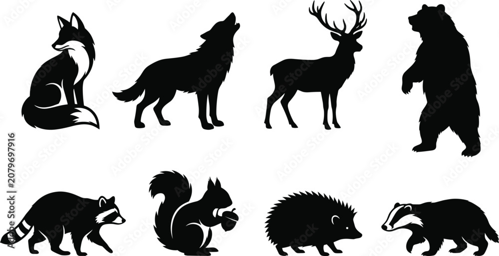Fototapeta premium Wild Forest Animal Silhouette Collection with Fox Wolf Deer Bear and Woodland Mammals