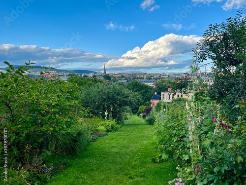 Photography Westye Egebergs gate garden connecting Oslo cityscape