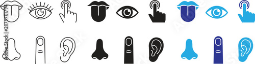 Konstfotografi Human sensory perception vector icon set with taste sight touch smell and hearin