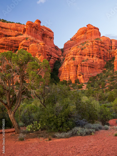 Obraz na płótnie The red rocks around Sedona, Arizona, on the Outlaw Trail near sunset #1