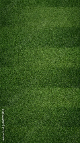 Close up of manicured green grass field with stripes