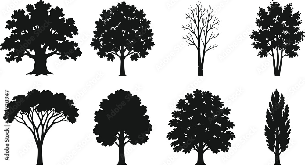 Fototapeta premium Variety of Tree Silhouettes with Distinct Canopy and Trunk Designs for Creative Projects
