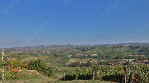 Canvastavla landscapes of the Langhe in Piedmont with vineyards during summer before autumn