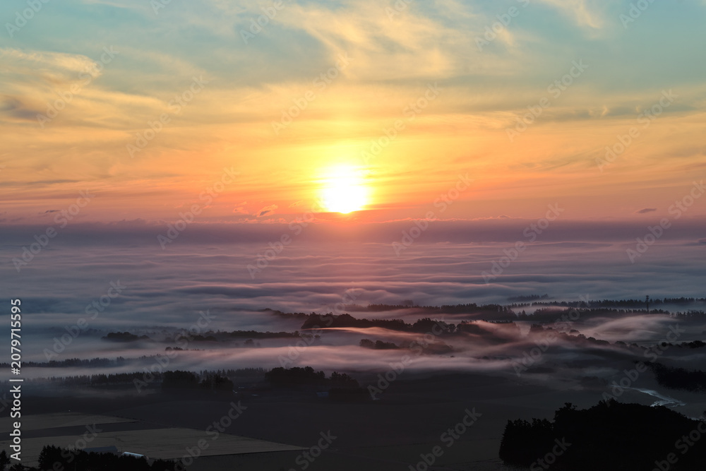 Fototapeta premium 雲海