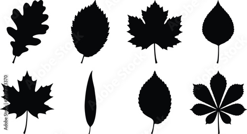 Leaf Silhouettes Featuring Diverse Tree Species Shapes for Botanical and Design Projects