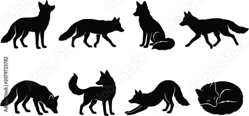 Fox Silhouettes in Multiple Natural Poses for Wildlife, Education, and Creative Design Projects