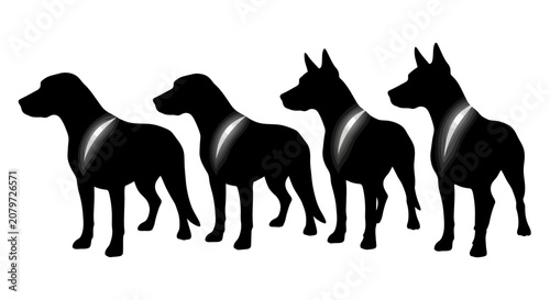 Fotografie Set of Four Black Dog Silhouettes with White Collar Details