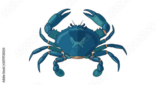 Photos Vibrant Blue Crab with Claws Raised, Isolated on White Background