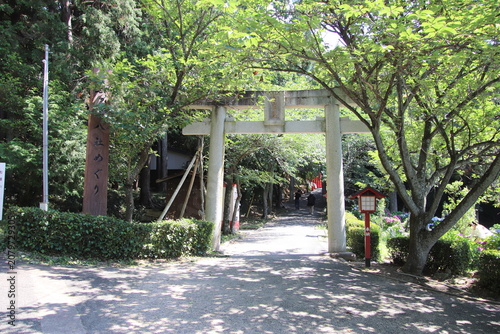 福津市の宮地嶽神社の奥宮参道