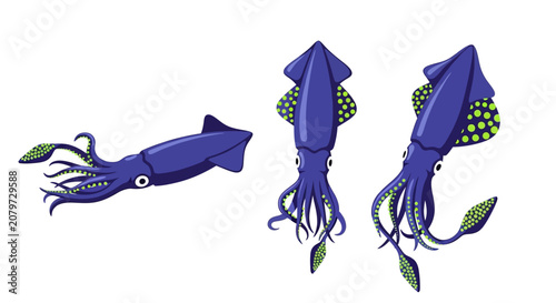 Tableau sur toile Set of Three Cartoon Squid Illustrations on White Background