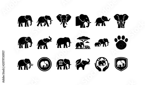 Photography Elephant Icons Set Modern Wildlife Animal Vector Sign Symbol Collection