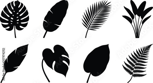 Black Silhouette Collection of Tropical Leaves Featuring Monstera, Banana, Palm, Fern, and Exotic Foliage Designs