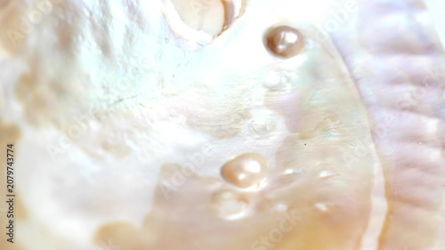 mother of pearl texture in soft beige tones and organic pattern with highlights and shimmering light. 4k footage