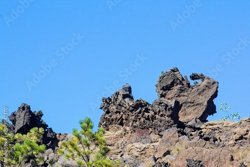 Oddly shaped basalt rock with a pine branch in the foreground.  Sunset Crater Volcano National Monument, Bonito Lava Flow, Flagstaff,  Arizona.