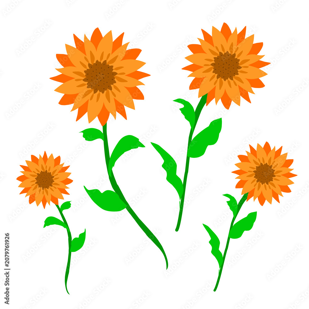 Fototapeta premium Sunflower Flower Collection Flat Cartoon Vector Illustrati
