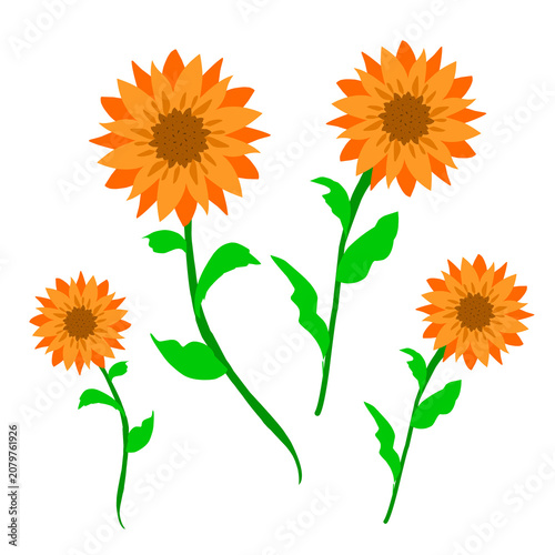Sunflower Flower Collection Flat Cartoon Vector Illustrati