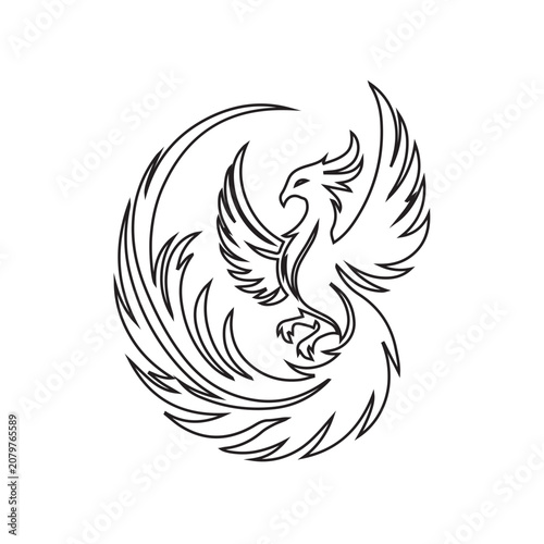 Phoenix Line Art Vector