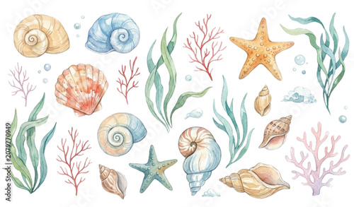 Watercolor Seashells and Starfish Hand Painted Coastal Marine Collection with Underwater Botanical Elements Vector Illustration