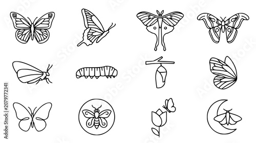 Canvas Print Beautiful butterflies and moths vector icon set with simple bold line art classi