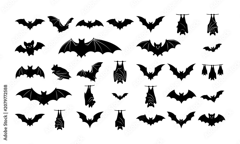 Fototapeta premium Halloween bats silhouettes for spooky decorations and party themes