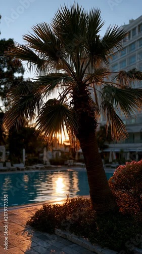 Palm tree silhouette against a golden sunset over a resort swimming pool