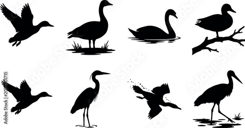 Bild auf Leinwand Black Silhouette Vector Set of Water Birds and Waterfowl