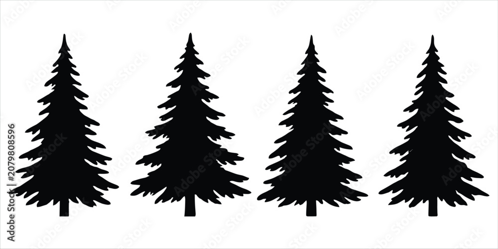 Obraz premium Four black silhouette pine trees in a row on a white background Keywords: pine tree, evergreen, conifer, forest, nature
