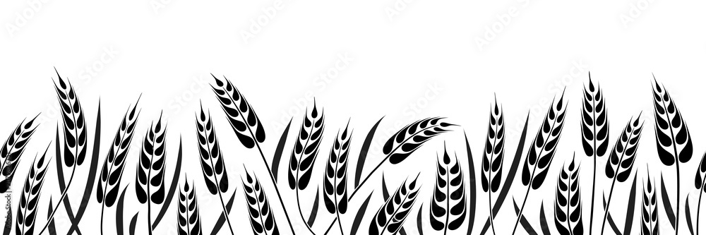 Fototapeta premium Wheat field, ears of wheat, rye or barley, agriculture and harvest, seamless border, black isolated silhouette on white background, vector drawing