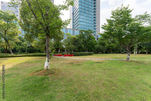 Photography city park with modern building background in shanghai