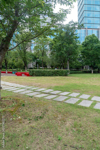 Photography city park with modern building background in shanghai