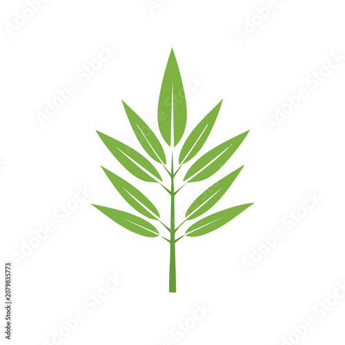 Green bamboo leaf vector illustration